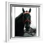 Horse Still 1-Schribler & Sons-Framed Giclee Print