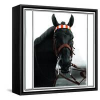 Horse Still 1-Schribler & Sons-Framed Stretched Canvas