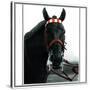 Horse Still 1-Schribler & Sons-Stretched Canvas