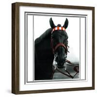 Horse Still 1-Schribler & Sons-Framed Giclee Print