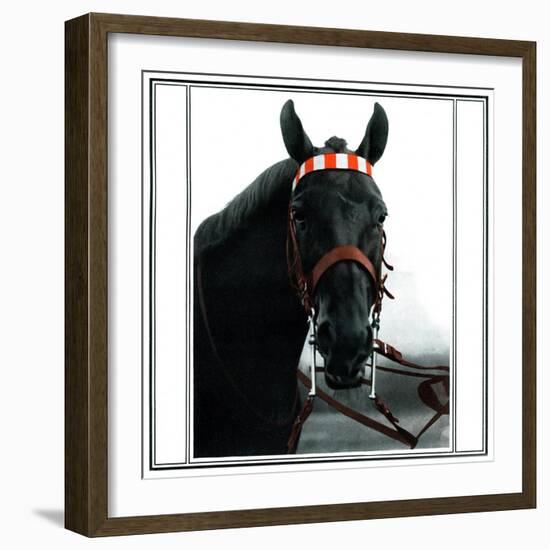 Horse Still 1-Schribler & Sons-Framed Giclee Print