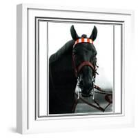 Horse Still 1-Schribler & Sons-Framed Giclee Print