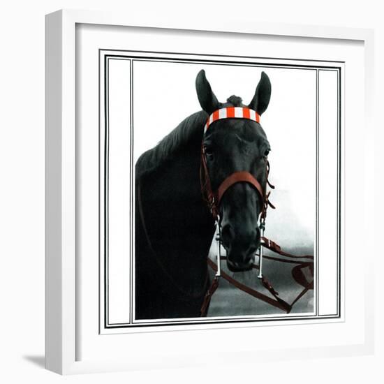 Horse Still 1-Schribler & Sons-Framed Giclee Print