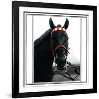 Horse Still 1-Schribler & Sons-Framed Giclee Print