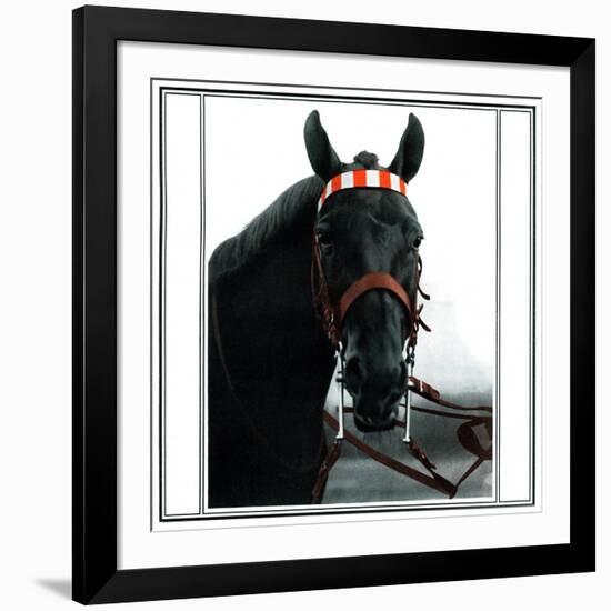 Horse Still 1-Schribler & Sons-Framed Giclee Print