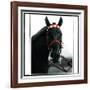 Horse Still 1-Schribler & Sons-Framed Giclee Print