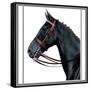 Horse Still 2-The Saturday Evening Post-Framed Stretched Canvas