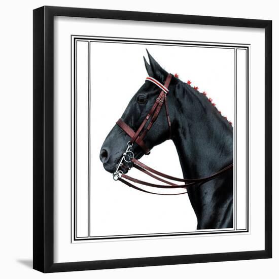 Horse Still 2-The Saturday Evening Post-Framed Giclee Print