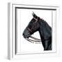 Horse Still 2-The Saturday Evening Post-Framed Giclee Print