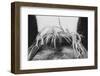 Horse Study II-Nathan Larson-Framed Photographic Print