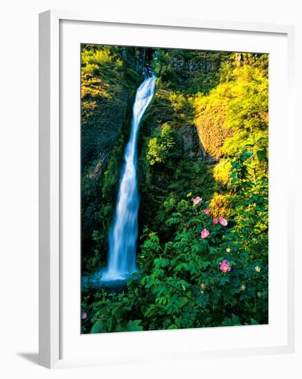 Horse Tail Falls-Ike Leahy-Framed Photographic Print