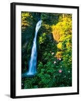 Horse Tail Falls-Ike Leahy-Framed Photographic Print