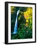 Horse Tail Falls-Ike Leahy-Framed Photographic Print