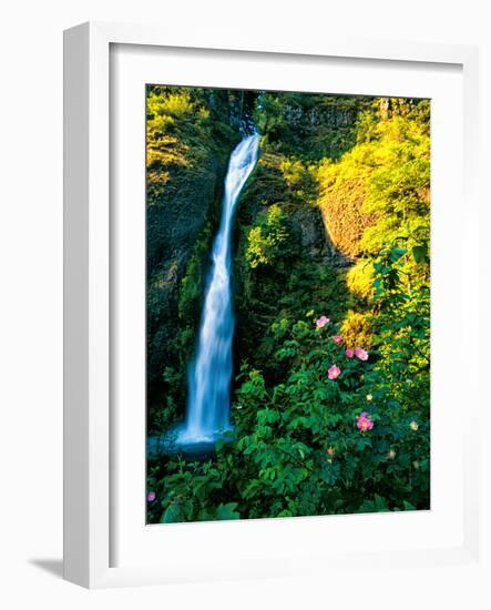Horse Tail Falls-Ike Leahy-Framed Photographic Print