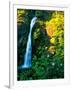 Horse Tail Falls-Ike Leahy-Framed Photographic Print