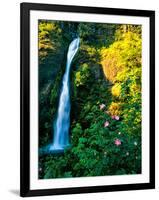 Horse Tail Falls-Ike Leahy-Framed Photographic Print