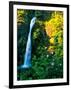 Horse Tail Falls-Ike Leahy-Framed Photographic Print