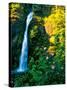 Horse Tail Falls-Ike Leahy-Stretched Canvas