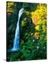 Horse Tail Falls-Ike Leahy-Stretched Canvas