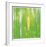 Horse Tail Grass Abstract No 24-Shams Rasheed-Framed Giclee Print