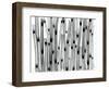 Horse Tail-Albert Koetsier-Framed Photographic Print