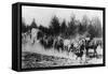 Horse Team Pulling Covered Wagon - Hampton, OR-Lantern Press-Framed Stretched Canvas