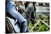 Horse Theme: Jockeys, Horse Races, Speed.-prometeus-Stretched Canvas