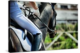 Horse Theme: Jockeys, Horse Races, Speed.-prometeus-Stretched Canvas