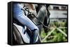 Horse Theme: Jockeys, Horse Races, Speed.-prometeus-Framed Stretched Canvas