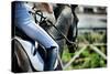 Horse Theme: Jockeys, Horse Races, Speed.-prometeus-Stretched Canvas