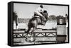 Horse Theme: Jockeys, Horse Races, Speed.-prometeus-Framed Stretched Canvas