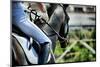 Horse Theme: Jockeys, Horse Races, Speed.-prometeus-Mounted Photographic Print