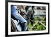 Horse Theme: Jockeys, Horse Races, Speed.-prometeus-Framed Photographic Print