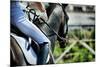 Horse Theme: Jockeys, Horse Races, Speed.-prometeus-Mounted Photographic Print