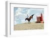 Horse Theme: Jockeys, Horse Races, Speed.-prometeus-Framed Photographic Print