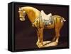 Horse, Three-Colour Ceramic Statue, China, Tang Dynasty, 7th Century-null-Framed Stretched Canvas