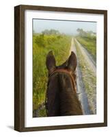 Horse Trails at Kissimmee Prairie Preserve State Park, Florida, Usa-Maresa Pryor-Framed Photographic Print