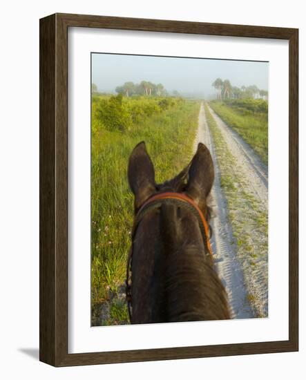 Horse Trails at Kissimmee Prairie Preserve State Park, Florida, Usa-Maresa Pryor-Framed Photographic Print