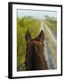 Horse Trails at Kissimmee Prairie Preserve State Park, Florida, Usa-Maresa Pryor-Framed Photographic Print