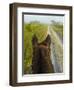 Horse Trails at Kissimmee Prairie Preserve State Park, Florida, Usa-Maresa Pryor-Framed Photographic Print