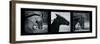 Horse Triptych-Pete Kelly-Framed Giclee Print