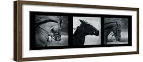 Horse Triptych-Pete Kelly-Framed Giclee Print