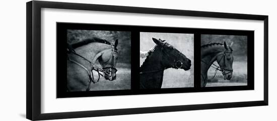 Horse Triptych-Pete Kelly-Framed Giclee Print