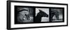 Horse Triptych-Pete Kelly-Framed Giclee Print