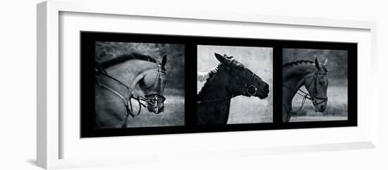 Horse Triptych-Pete Kelly-Framed Giclee Print