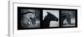 Horse Triptych-Pete Kelly-Framed Giclee Print