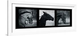 Horse Triptych-Pete Kelly-Framed Giclee Print