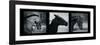 Horse Triptych-Pete Kelly-Framed Giclee Print