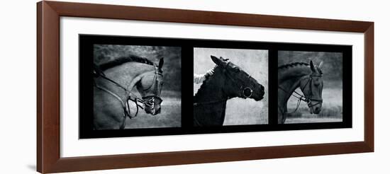 Horse Triptych-Pete Kelly-Framed Giclee Print