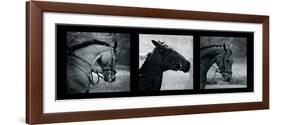 Horse Triptych-Pete Kelly-Framed Giclee Print